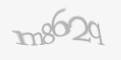 Защитный код