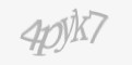 Защитный код