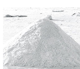 Photo_Sol.jpg
